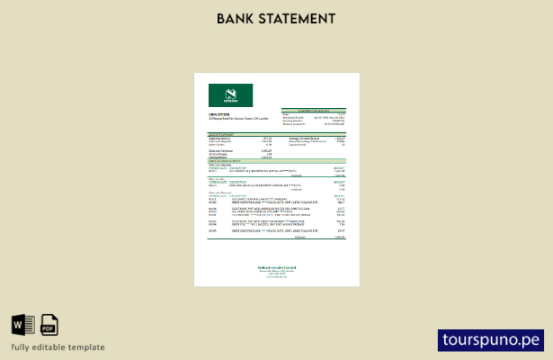 listo para imprimir plantilla de Excel de extracto bancario de Lesotho Nedbank